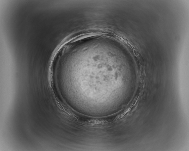 X0000116640343200912211009