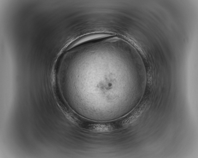 X0000116640347200912211009