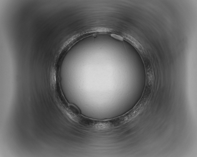 X0000116640350200912211009