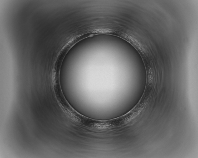 X0000116640351200912211009