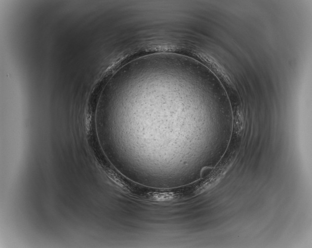 X0000116640355200912211009