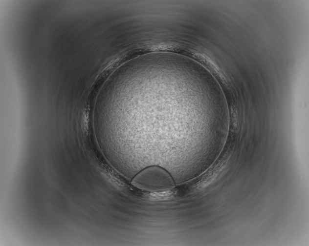 X0000116640357200912211009