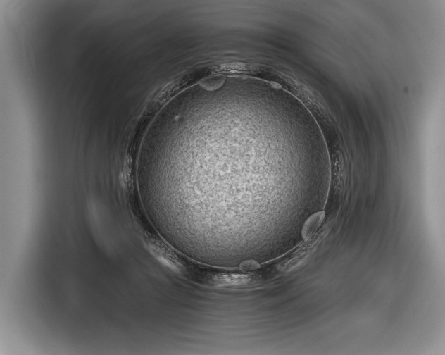 X0000116640361200912211009