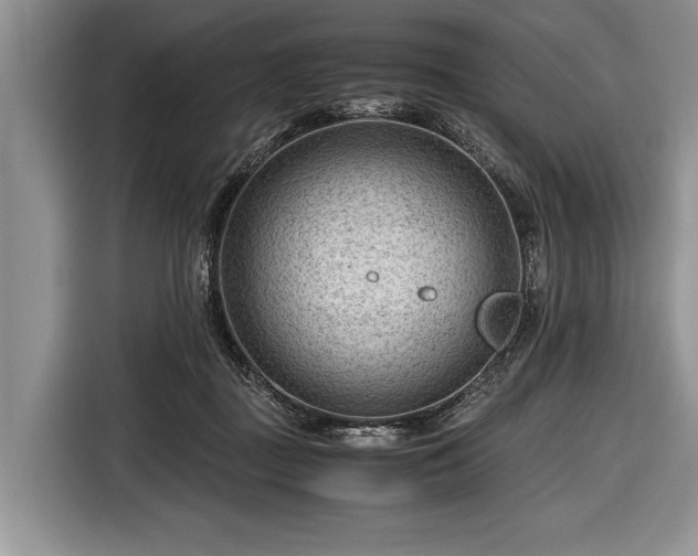 X0000116640363200912211009