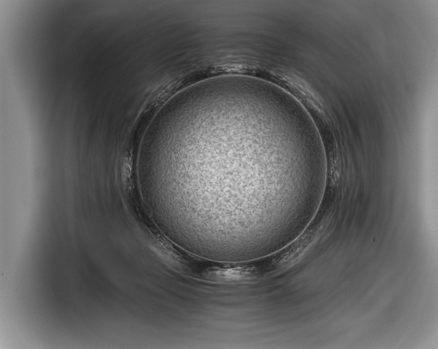 X0000116640365200912211009