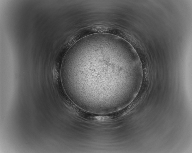 X0000116640371200912211009