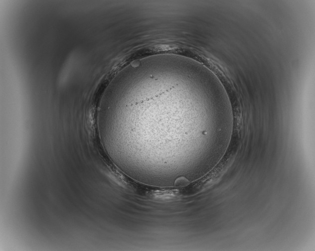 X0000116640373200912211009