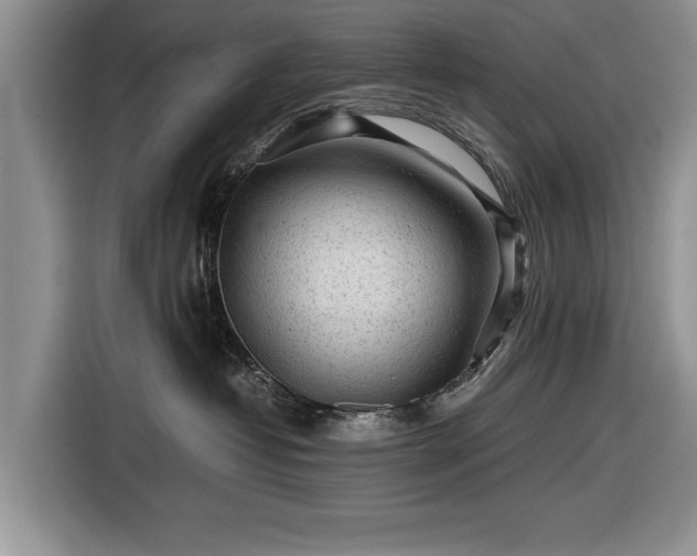 X0000116640382200912211009