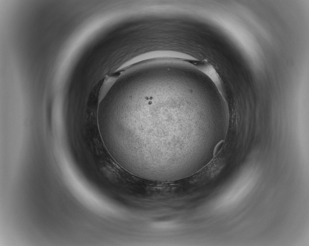 X0000116640383200912211009