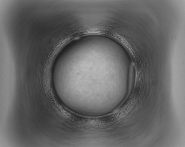 X0000116640385200912211008