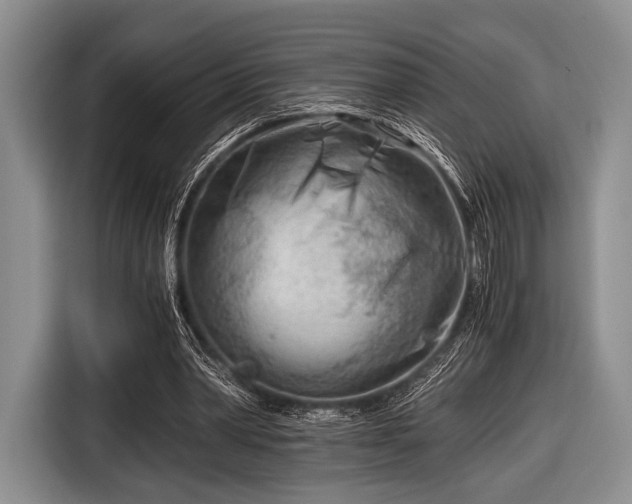 X0000116640390200912211008