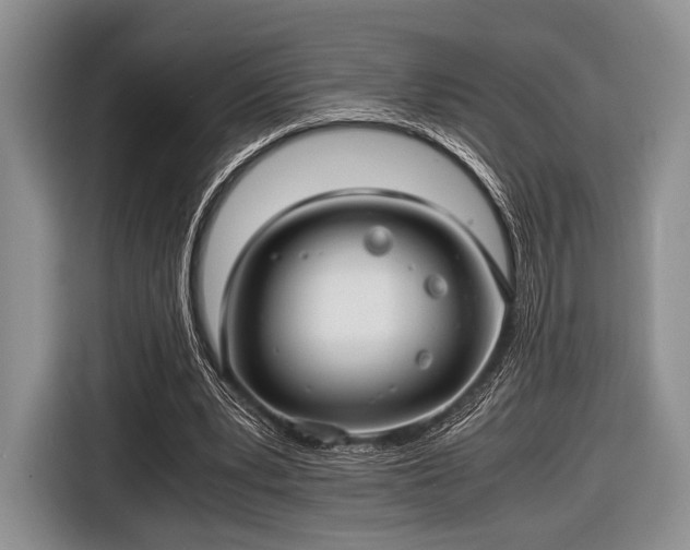 X0000116640391200912211008