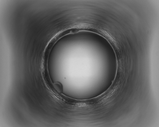 X0000116640392200912211008