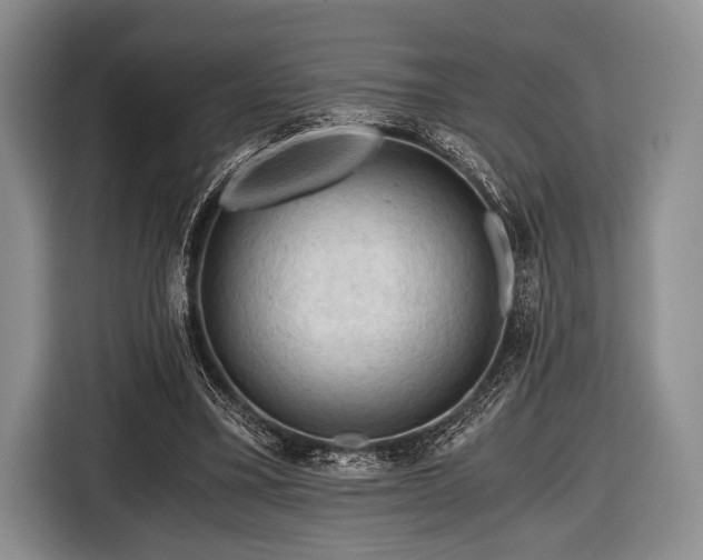 X0000116640395200912211008