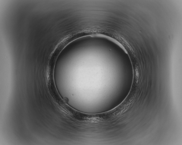 X0000116640396200912211008