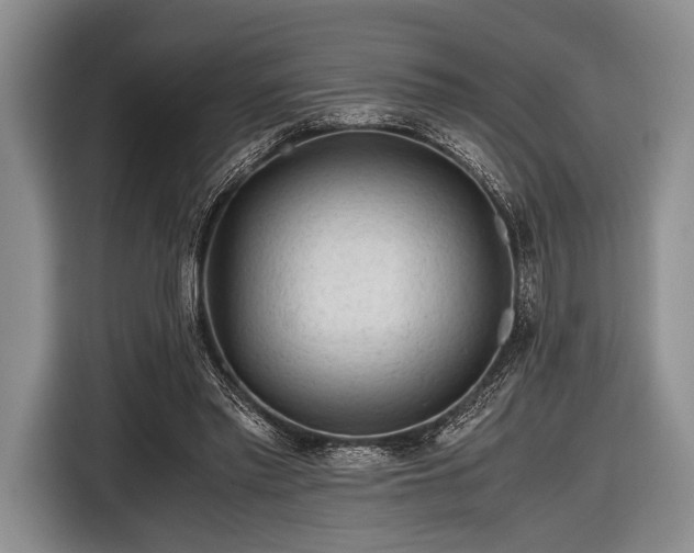 X0000116640397200912211008