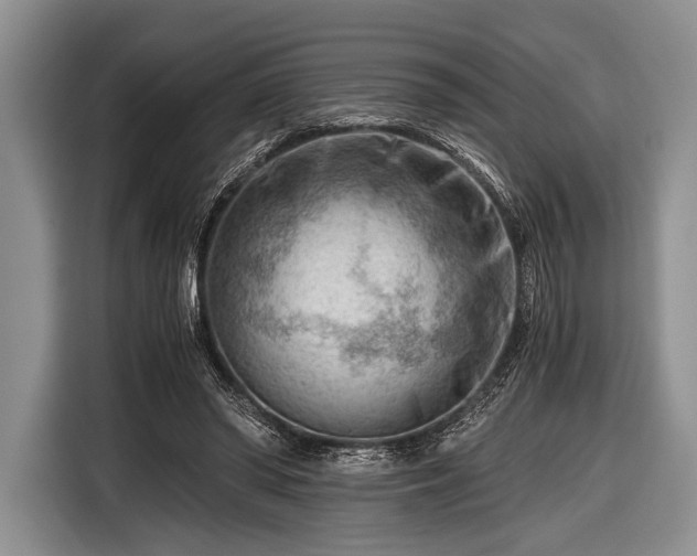 X0000116640398200912211008