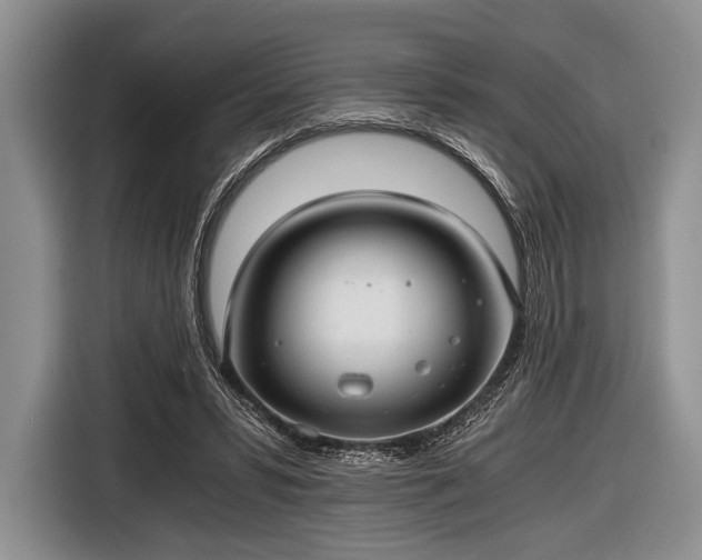 X0000116640399200912211008