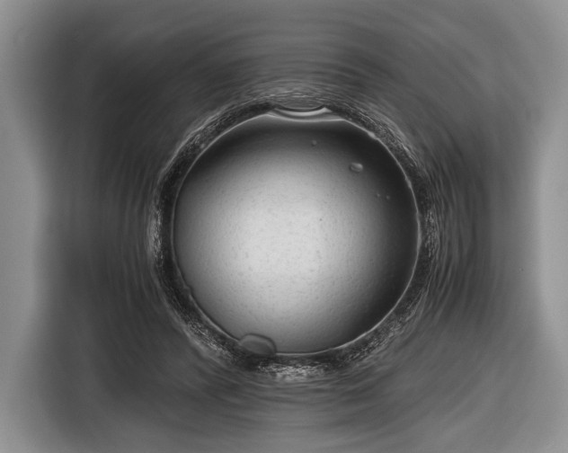 X0000116640400200912211008