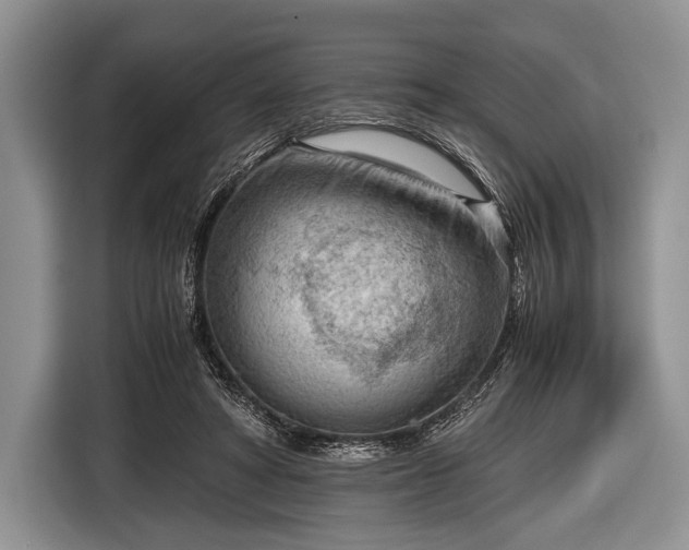 X0000116640402200912211008