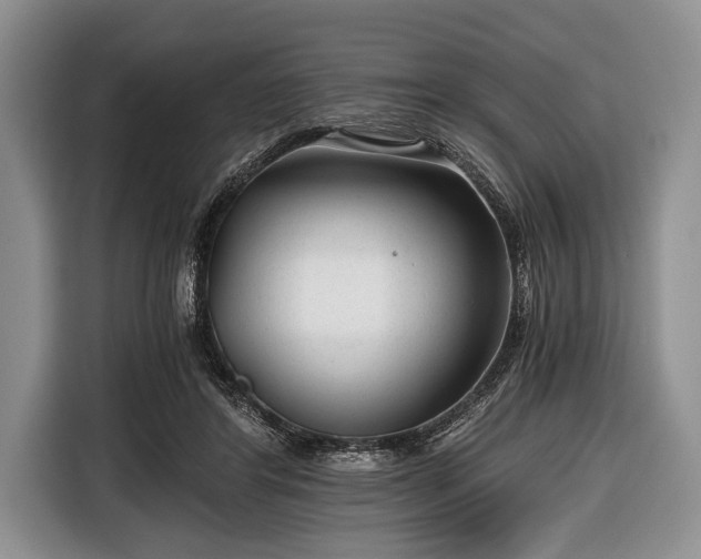 X0000116640404200912211008