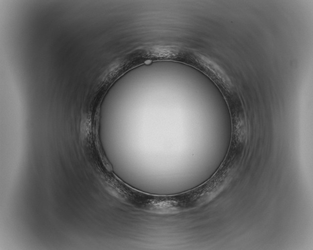 X0000116640407200912211008