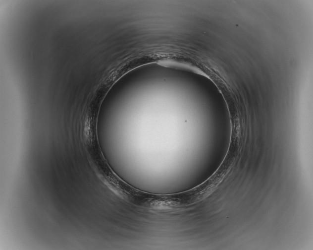 X0000116640408200912211008