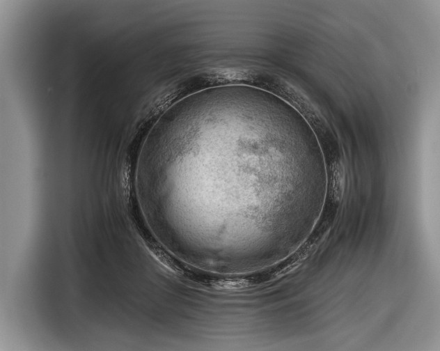 X0000116640410200912211008