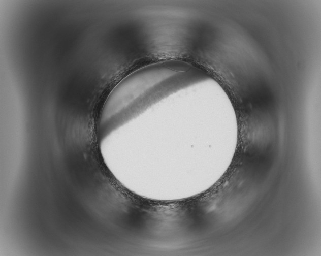 X0000116640411200912211008