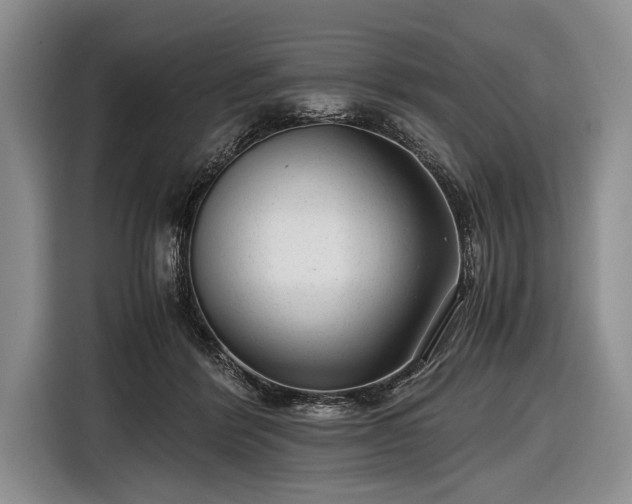 X0000116640412200912211008