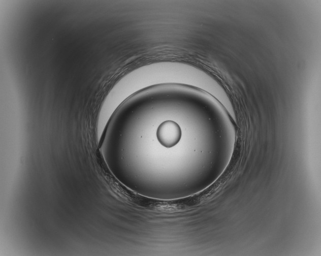 X0000116640413200912211008