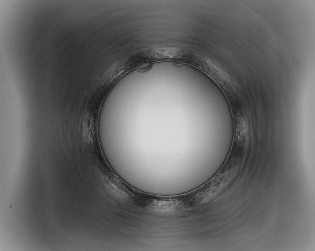 X0000116640414200912211008