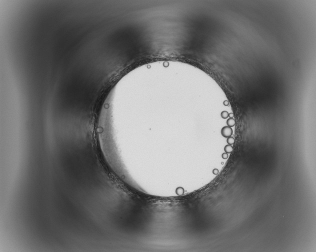 X0000116640415200912211008