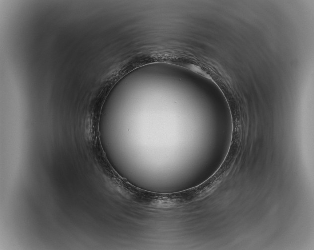 X0000116640416200912211008