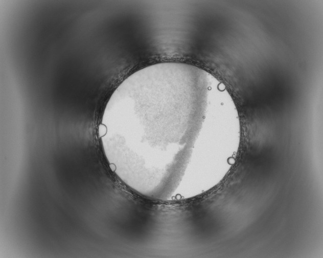 X0000116640419200912211008