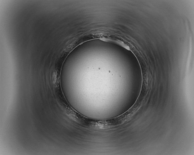 X0000116640420200912211008