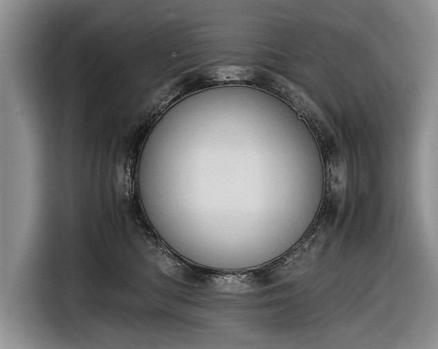 X0000116640422200912211008