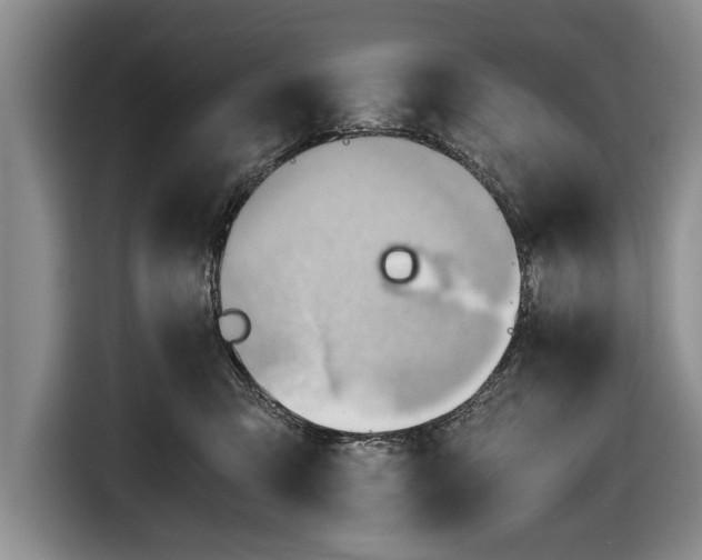 X0000116640423200912211008