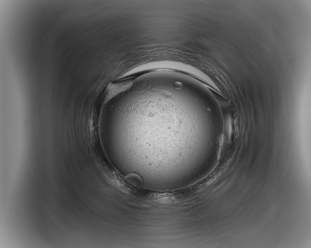 X0000116640424200912211008