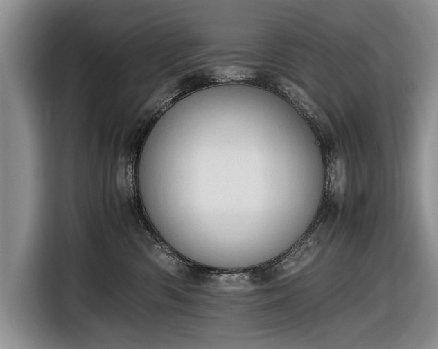 X0000116640426200912211008