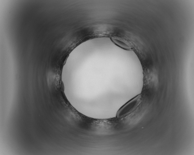 X0000116640427200912211008