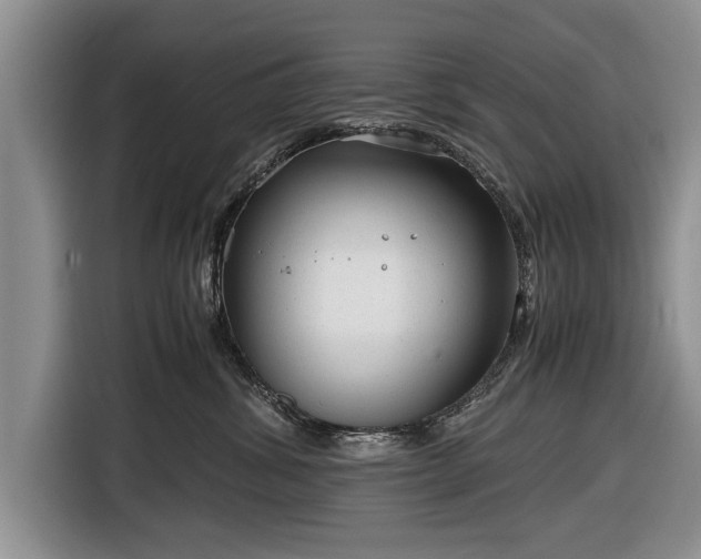 X0000116640428200912211008