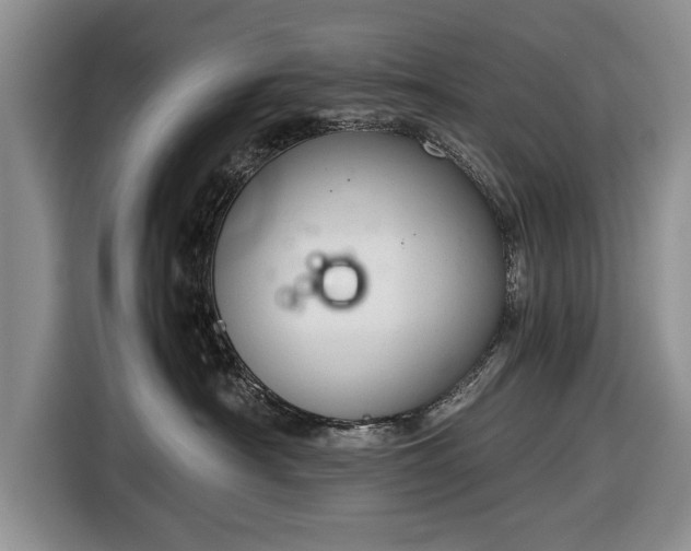 X0000116640430200912211008