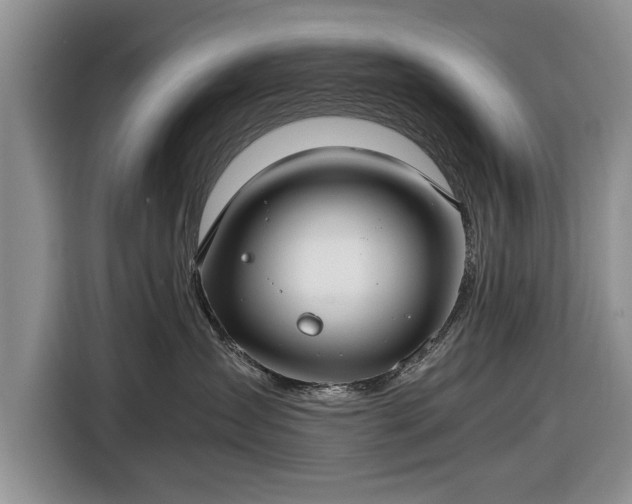 X0000116640431200912211008