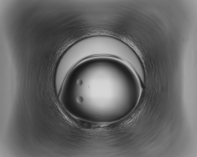 X0000116640433200912211007