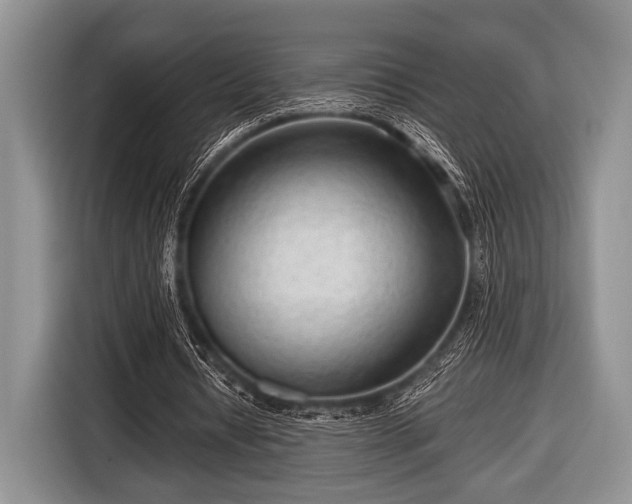 X0000116640434200912211007