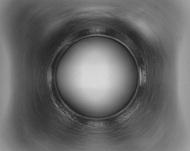 X0000116640435200912211007