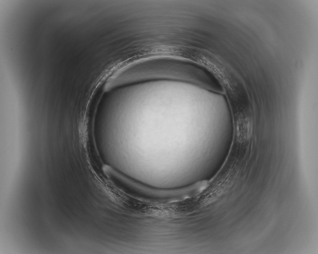 X0000116640436200912211007