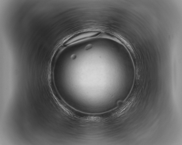 X0000116640437200912211007