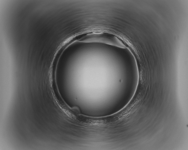 X0000116640438200912211007